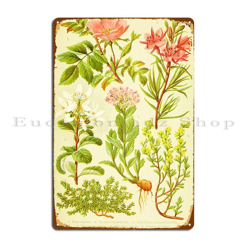 Hd Vintage Flowery Bouquet Des - Home Cinema Wall Design 리뷰 및 가격