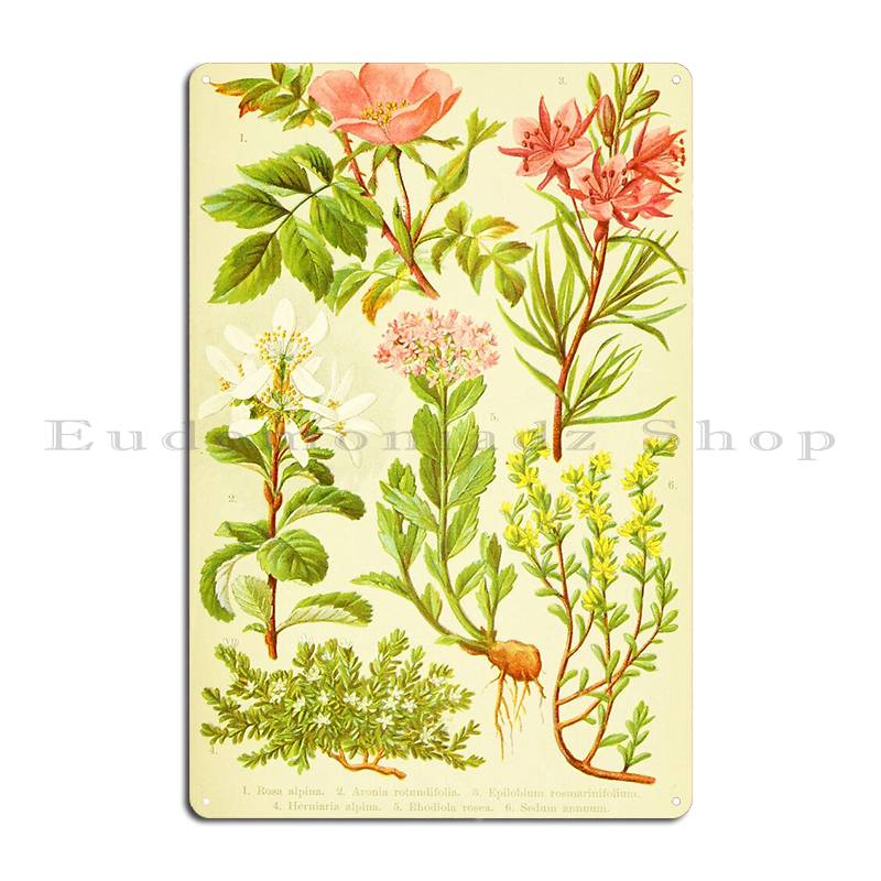Hd Vintage Flowery Bouquet Des - Home Cinema Wall Design 리뷰 및 가격