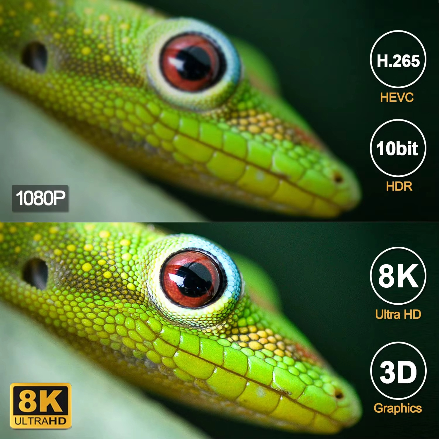 Smart TV Box T95 Android 16 Al - Home Cinema Google 리뷰 및 가격
